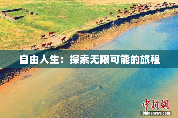 自由人生：探索无限可能的旅程