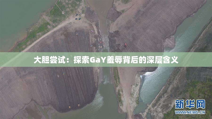 大胆尝试：探索GaY羞辱背后的深层含义