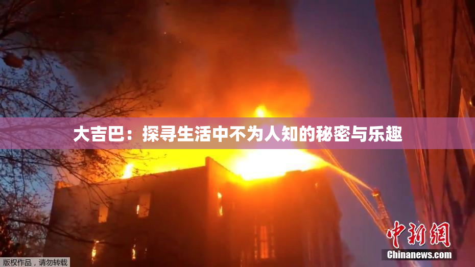 大吉巴：探寻生活中不为人知的秘密与乐趣