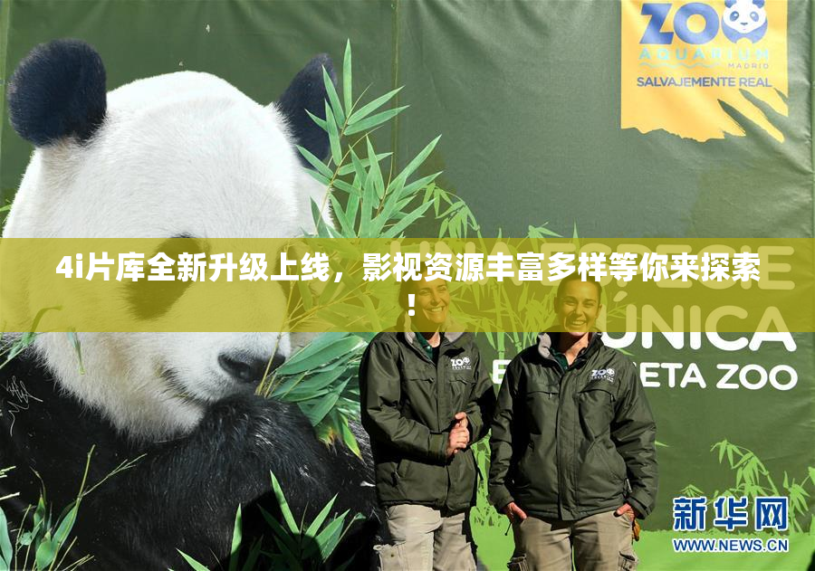 4i片库全新升级上线，影视资源丰富多样等你来探索！