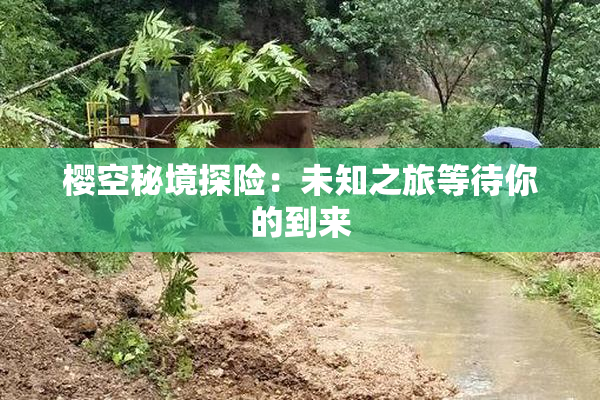 樱空秘境探险：未知之旅等待你的到来