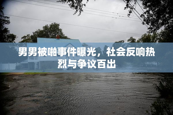 男男被啪事件曝光，社会反响热烈与争议百出