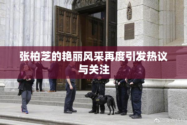 张柏芝的艳丽风采再度引发热议与关注