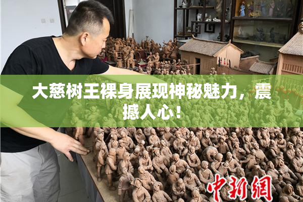 大慈树王裸身展现神秘魅力，震撼人心！