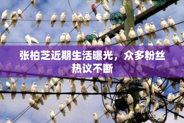 张柏芝近期生活曝光，众多粉丝热议不断