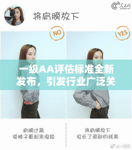 一级AA评估标准全新发布，引发行业广泛关注
