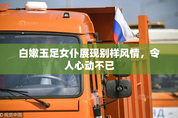 白嫩玉足女仆展现别样风情，令人心动不已