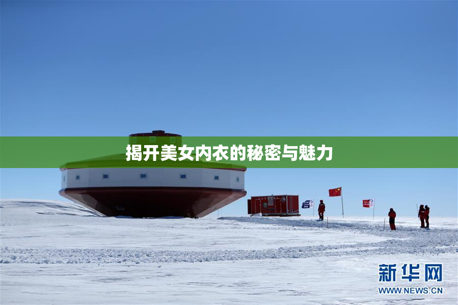 揭开美女内衣的秘密与魅力