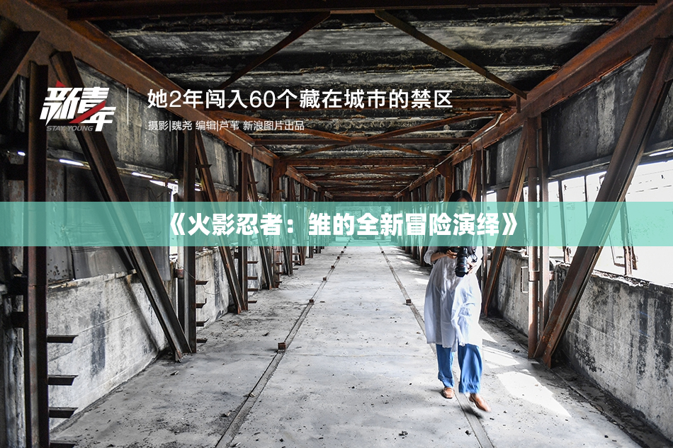 《火影忍者：雏的全新冒险演绎》