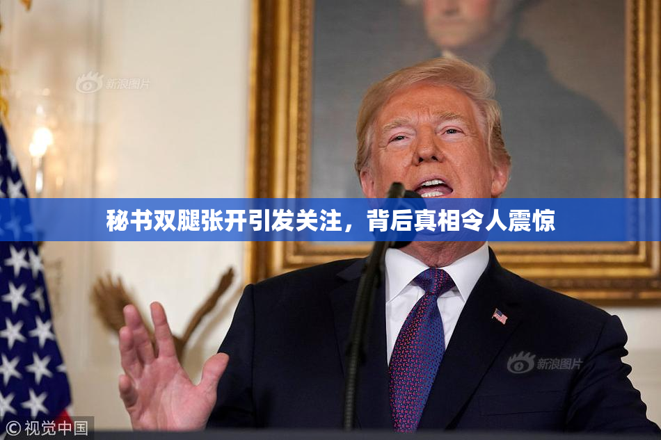 秘书双腿张开引发关注，背后真相令人震惊