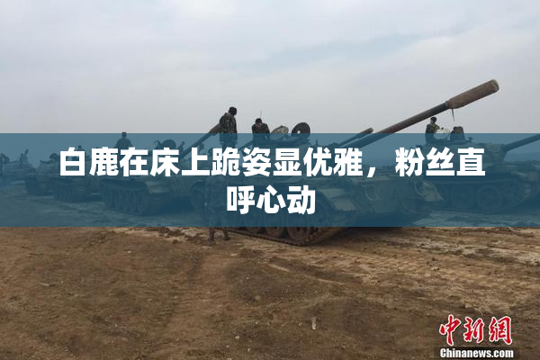 白鹿在床上跪姿显优雅，粉丝直呼心动