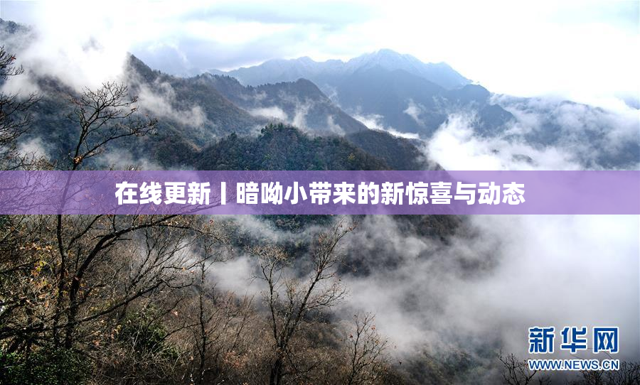 在线更新丨暗呦小带来的新惊喜与动态