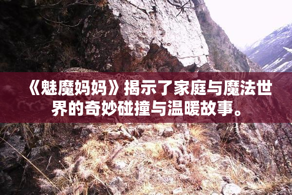 《魅魔妈妈》揭示了家庭与魔法世界的奇妙碰撞与温暖故事。