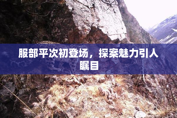 服部平次初登场，探案魅力引人瞩目