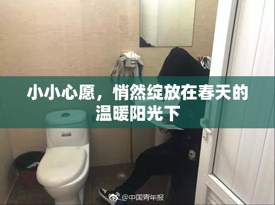 小小心愿，悄然绽放在春天的温暖阳光下