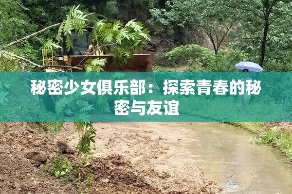 秘密少女俱乐部：探索青春的秘密与友谊
