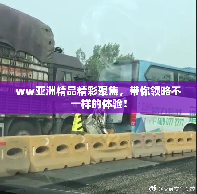 ww亚洲精品精彩聚焦，带你领略不一样的体验！