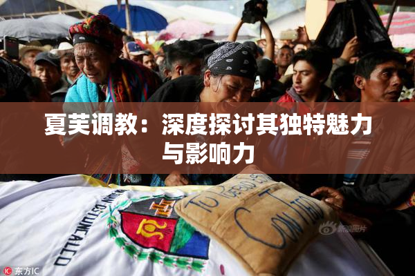 夏芙调教：深度探讨其独特魅力与影响力