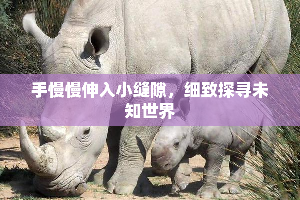 手慢慢伸入小缝隙，细致探寻未知世界