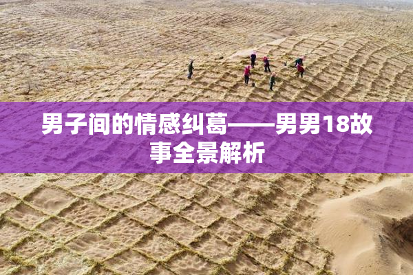 男子间的情感纠葛——男男18故事全景解析