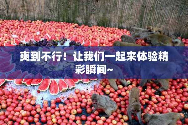 爽到不行！让我们一起来体验精彩瞬间~