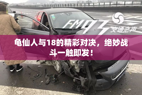 龟仙人与18的精彩对决，绝妙战斗一触即发！