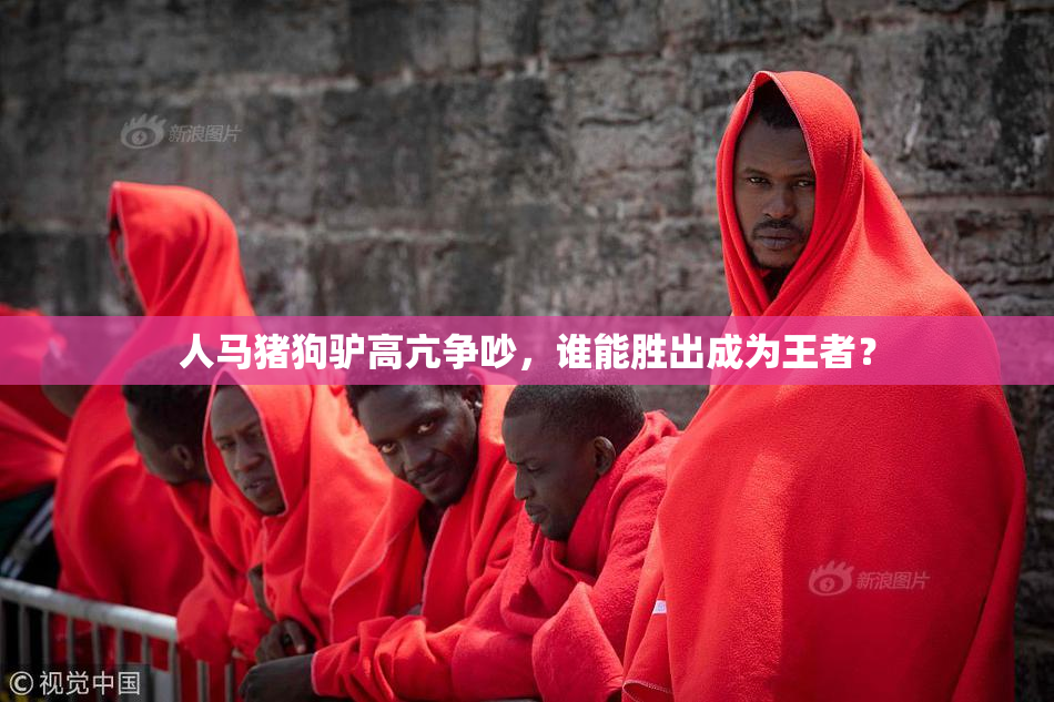 人马猪狗驴高亢争吵，谁能胜出成为王者？