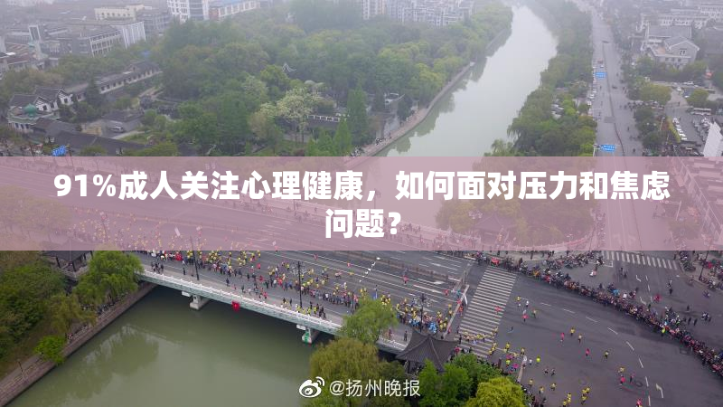 91%成人关注心理健康，如何面对压力和焦虑问题？
