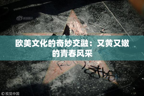 欧美文化的奇妙交融：又黄又嫩的青春风采