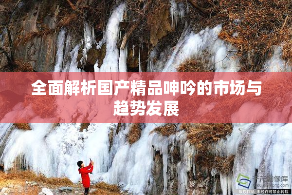 全面解析国产精品呻吟的市场与趋势发展