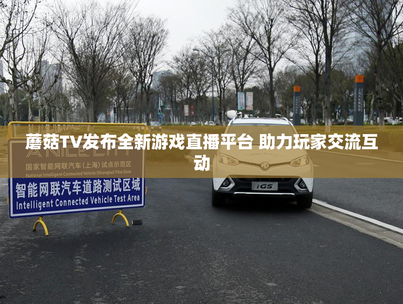 蘑菇TV发布全新游戏直播平台 助力玩家交流互动