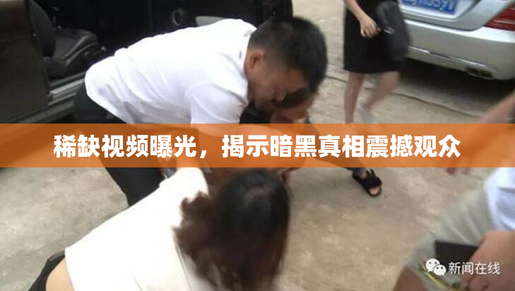 稀缺视频曝光，揭示暗黑真相震撼观众