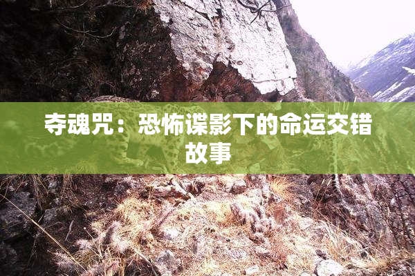 夺魂咒：恐怖谍影下的命运交错故事