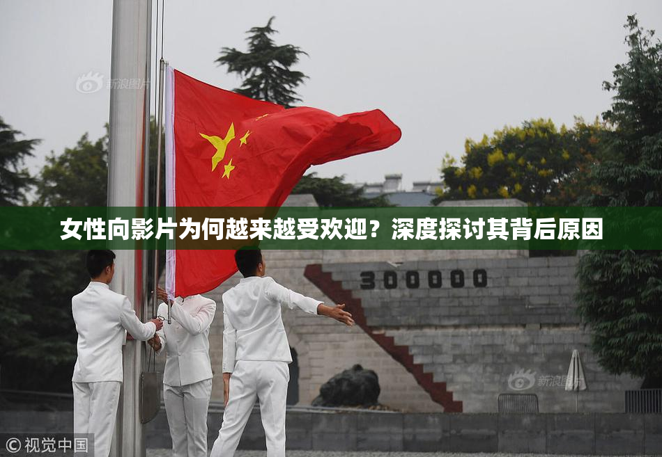 女性向影片为何越来越受欢迎？深度探讨其背后原因