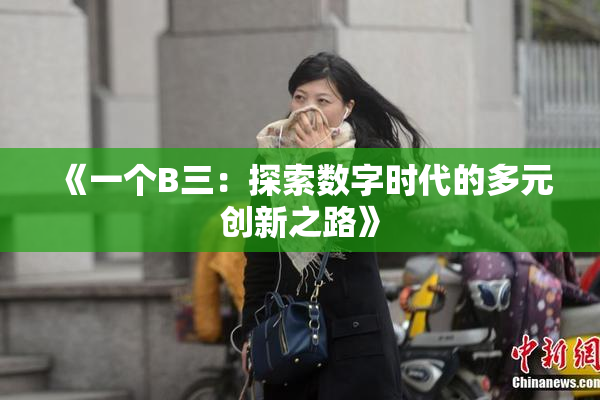 《一个B三：探索数字时代的多元创新之路》