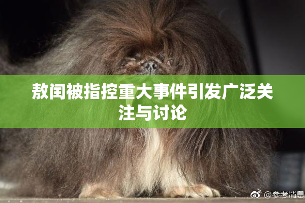 敖闰被指控重大事件引发广泛关注与讨论