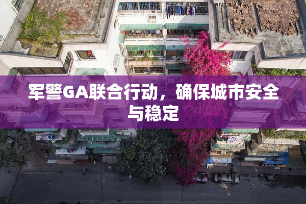 军警GA联合行动，确保城市安全与稳定