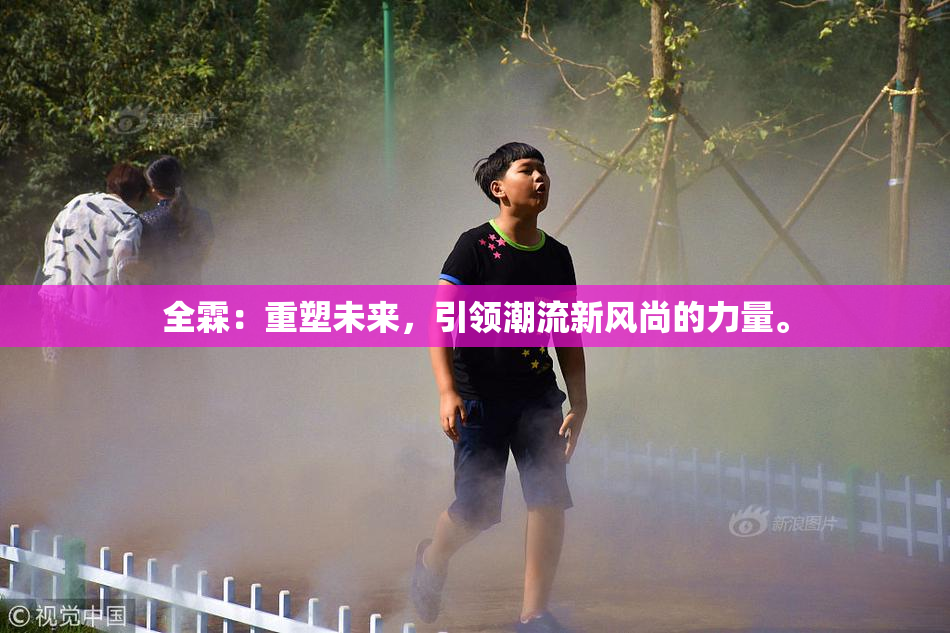 全霖：重塑未来，引领潮流新风尚的力量。