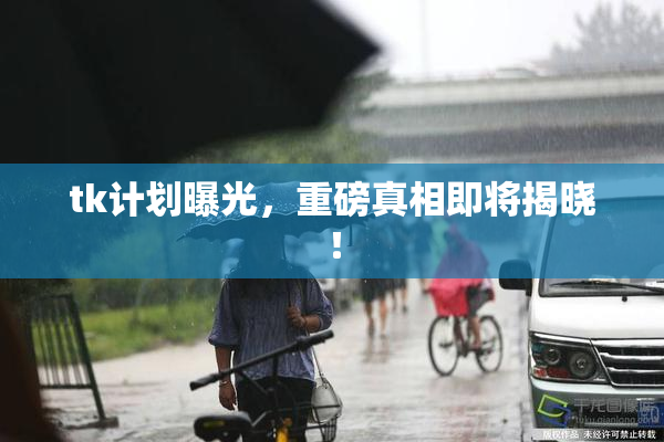 tk计划曝光，重磅真相即将揭晓！