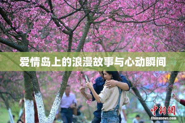 爱情岛上的浪漫故事与心动瞬间