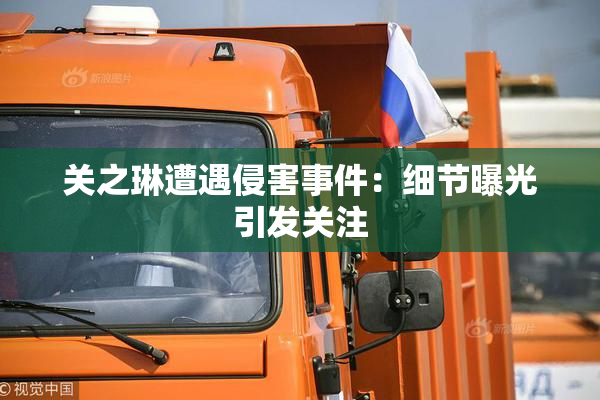 关之琳遭遇侵害事件：细节曝光引发关注
