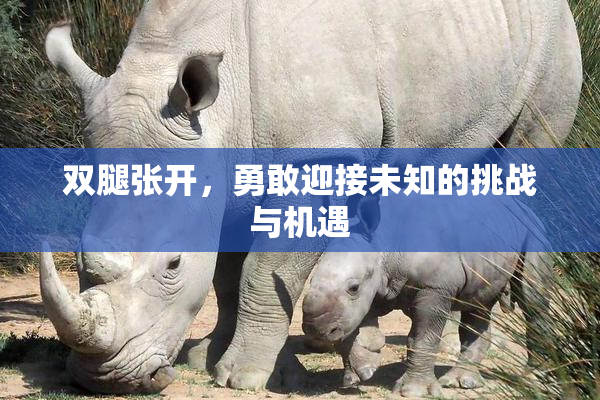 双腿张开，勇敢迎接未知的挑战与机遇