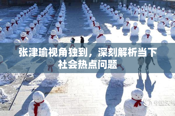 张津瑜视角独到，深刻解析当下社会热点问题