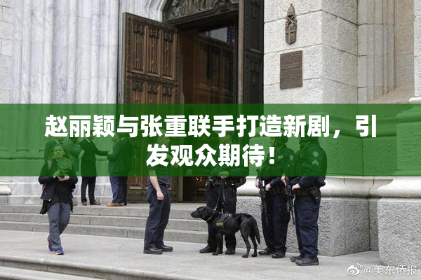 赵丽颖与张重联手打造新剧，引发观众期待！