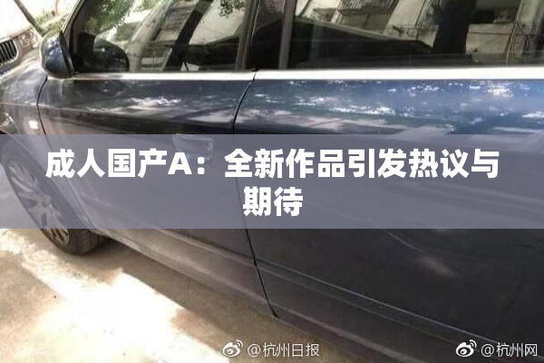 成人国产A：全新作品引发热议与期待