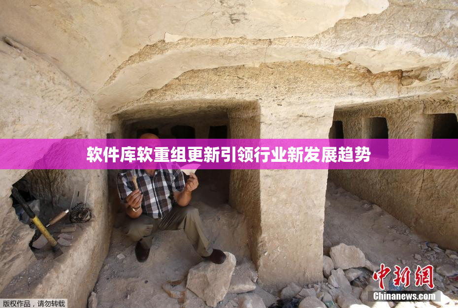 软件库软重组更新引领行业新发展趋势