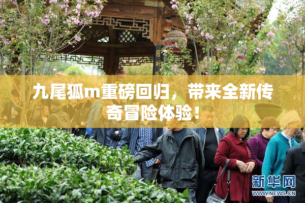 九尾狐m重磅回归，带来全新传奇冒险体验！