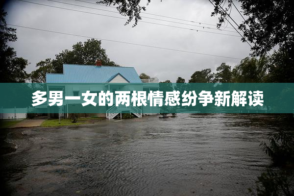多男一女的两根情感纷争新解读