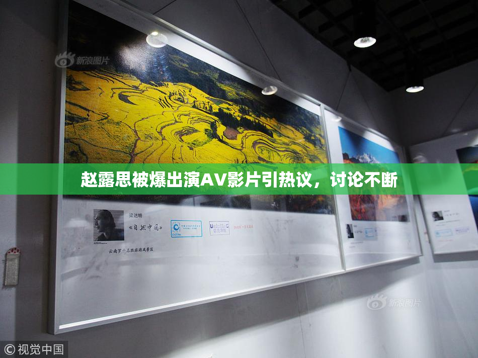 赵露思被爆出演AV影片引热议，讨论不断