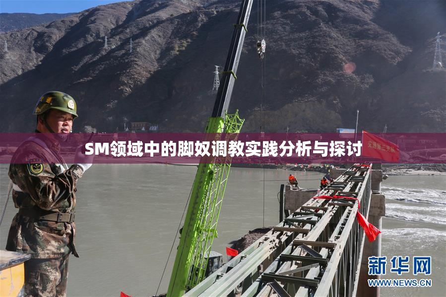 SM领域中的脚奴调教实践分析与探讨